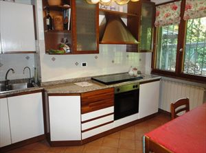 Villa Dalmazia : Kitchen