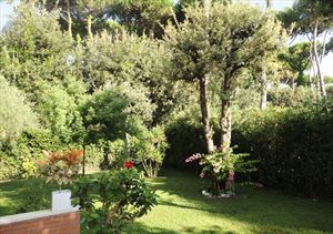 Villa Dalmazia : Garden