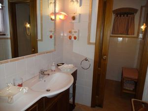 Villa Tenuta Magna  : Bathroom with shower