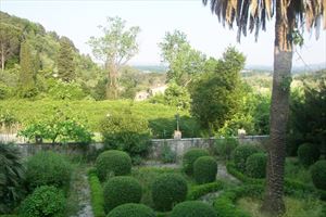 Villa Cipollini : Outside view