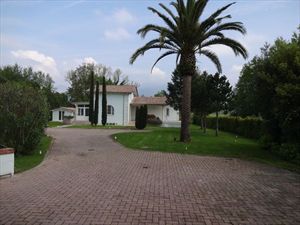 Villa Europa  : Garden