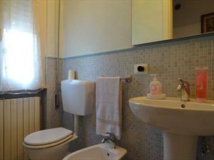 Villa Agnelli  : Bathroom with shower