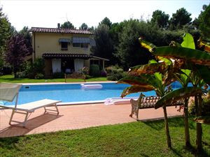 Villa  Ronchi Mare : Swimming pool