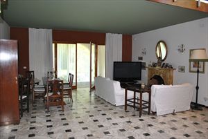 Villa Pineta : Living room