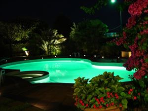 Villa Cora : Swimming pool