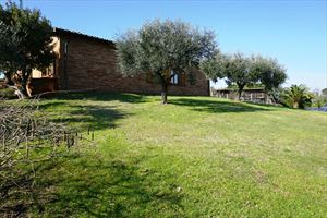Villa Marilena : Outside view