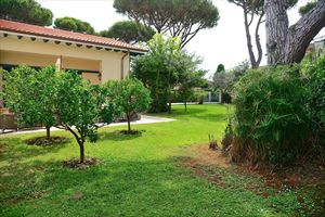 Villa Salome : Outside view