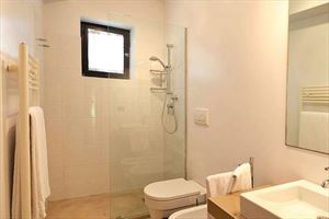 Villa Ronchi Beach  : Bathroom with shower
