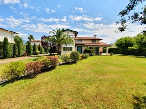 Villa Magnifica : Outside view