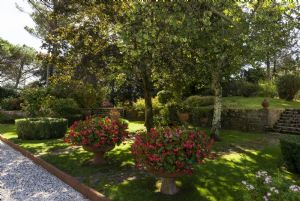 Villa Colletto Camaiore  : Garden