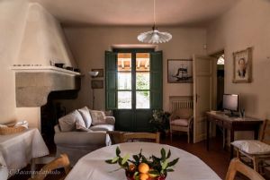Villa Massaciuccoli : Lounge