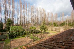 Villa Massaciuccoli : Вид снаружи