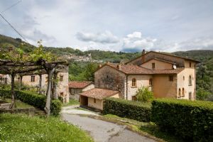 Borgo Lucchese : Outside view