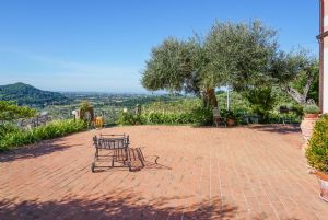 Villa Wineyard : Vista esterna