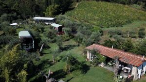 Villa Wineyard : Vista esterna
