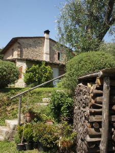 Villa Antico Uliveto : Outside view
