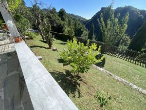 Villa Orfeo : Vista esterna