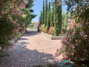Villa il Gallo : Вид снаружи