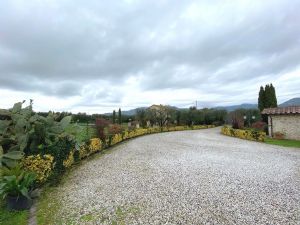Villa Silenzio : Outside view