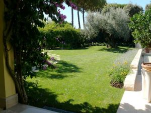 Villa Diadema : Outside view