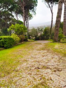 Villa Collebello : Outside view