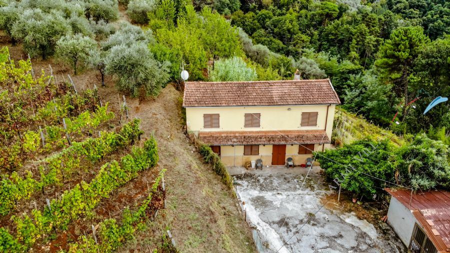 Podere La Colonica - Country house For Sale Camaiore