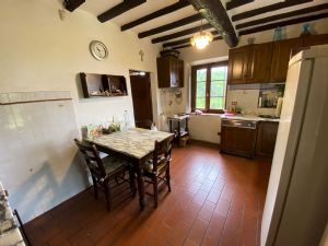 Villa Capezzana : Кухня 