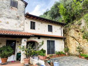 Villa Capezzana : Вид снаружи