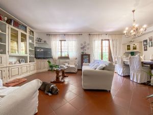 Villa Fresia : Lounge