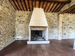 Villa Petra : Fireplace