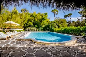 Villa Oasi Forte : Swimming pool