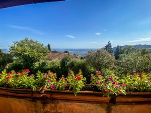 Villa Colonica Vista Mare : Outside view