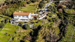 Villa Astra : detached villa to rent and for sale  Pietrasanta