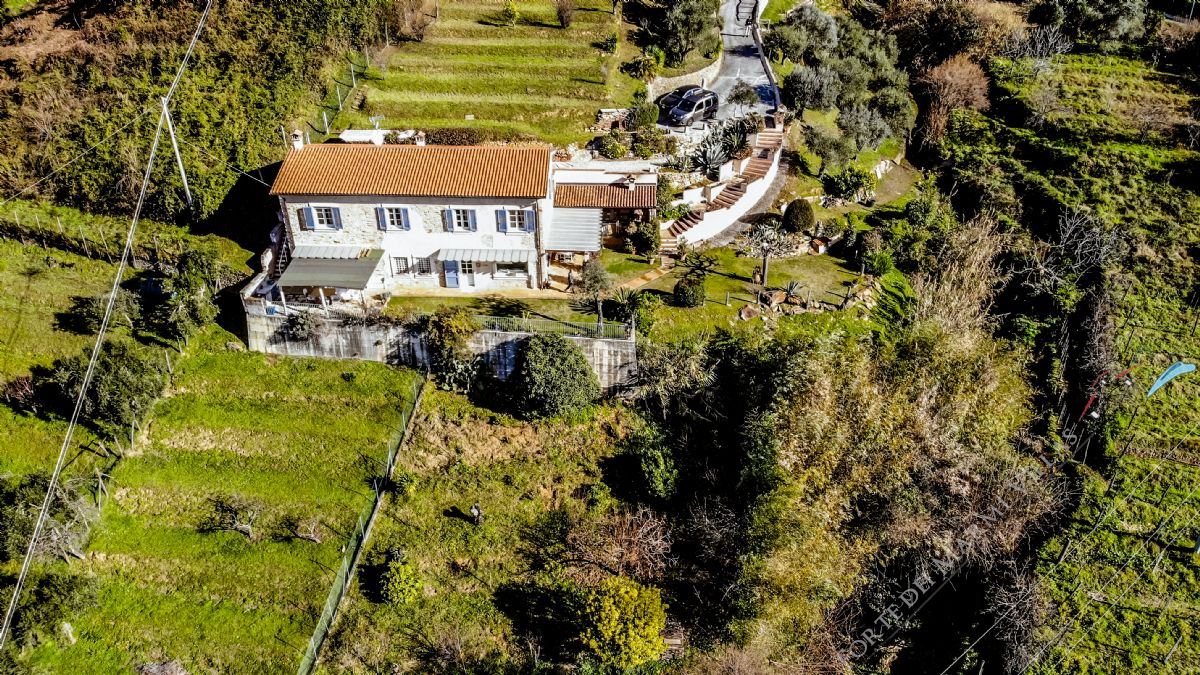 Villa Astra - Detached villa to Rent and for Sale Pietrasanta