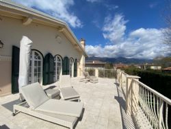 Villa Elisa : Terrace
