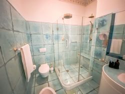 Villa Victoria : Ванная комната с душем