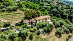 Villa dei Cerri : detached villa for sale  Pietrasanta