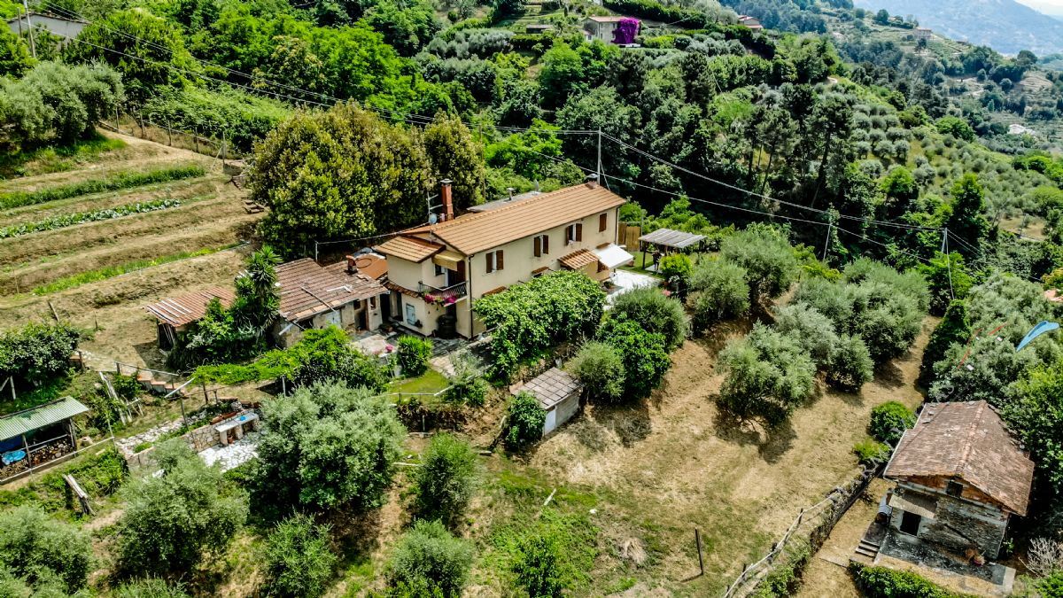 Villa dei Cerri - Detached villa For Sale Pietrasanta