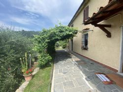 Villa dei Cerri : Outside view