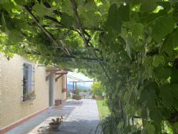 Villa dei Cerri : Outside view