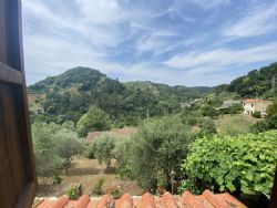 Villa dei Cerri : Вид снаружи