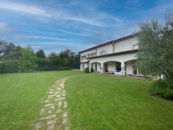 Villa Ylenia : detached villa to rent  Forte dei Marmi