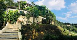 Villa Loren : Вид снаружи