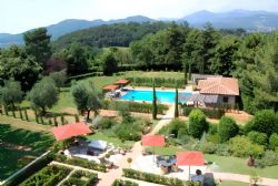 Villa Puccini Lucca : Swimming pool