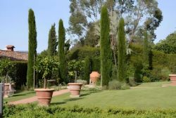 Villa Puccini Lucca : Outside view