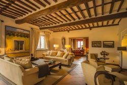Villa Puccini Lucca : Lounge