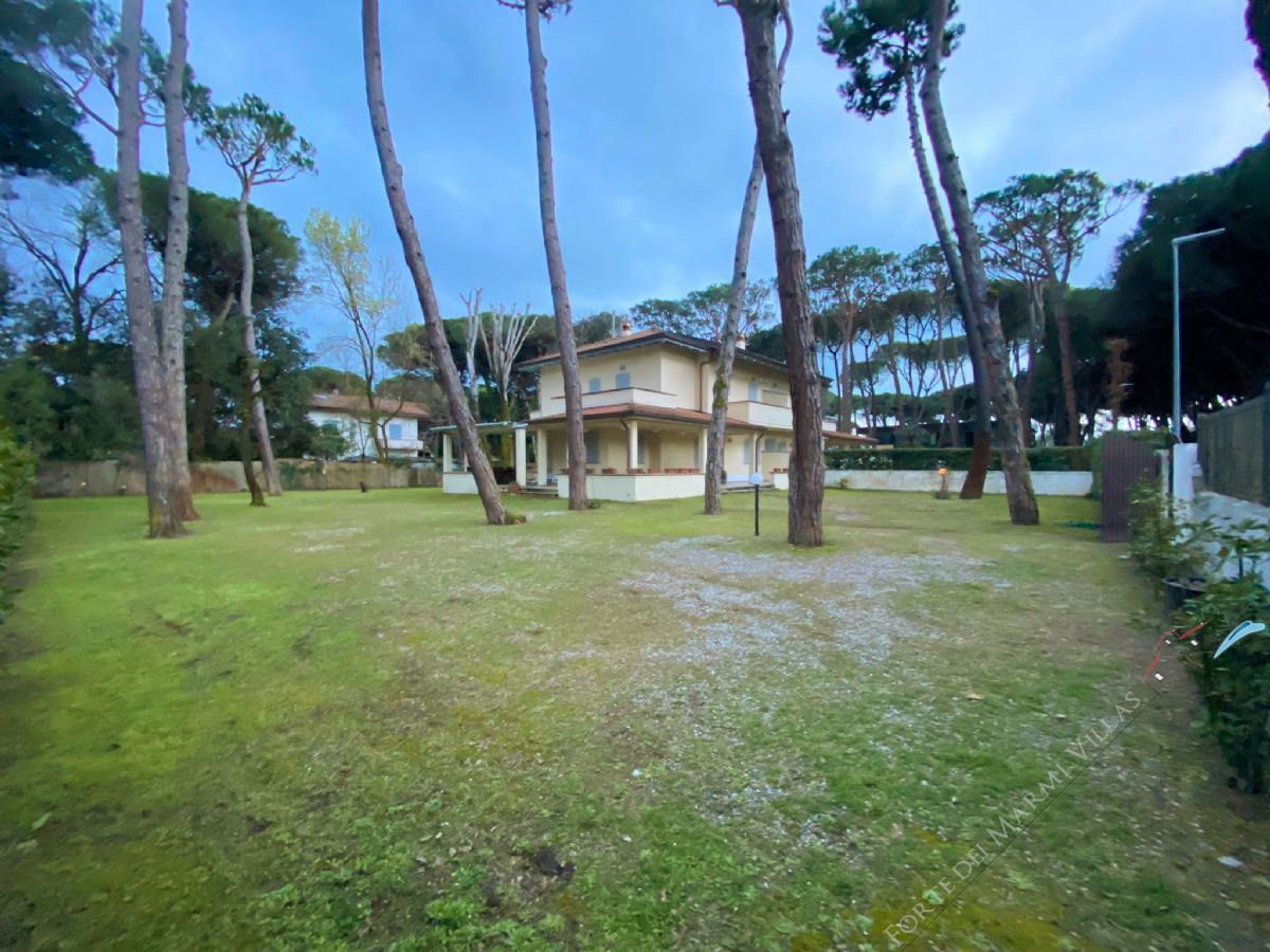 Villa Opportunities detached villa to rent and for sale Forte dei Marmi