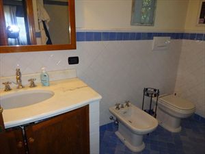 Villa Rosa dei Venti  : Bathroom with shower