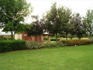 Villa Enrica : Garden