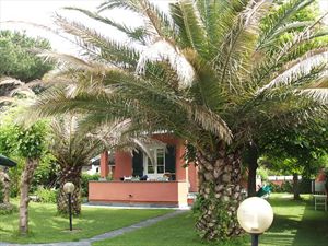 Villa Apuana : Vista esterna